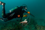 slides/IMG_4400.jpg Catch, Coral Sea Fans Rocks, David, GrouperLed, Gulf Fish Dive June 12 2010 IMG_4400