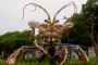 slides/IMG_6652.jpg Giant Lobster Islamorada July 16 2010, Huge Lobster IMG_6652