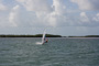 slides/IMG_7031.jpg On Water, Spearfishing Backside July 20 2010, Windsurfer IMG_7031