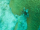 slides/CRW_1561.jpg Coral Sea Fans Rocks, July 25 2010, MrayFingers, Spearfishing Atlantic July 25 2010 CRW_1561