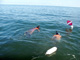 slides/IMG_7263_Edit.jpg Cassie, CUDH1010, Kyle, Lobstering then Spearfising Hog1 July 28 2010, On Water IMG_7263_Edit