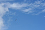 slides/IMG_7280.jpg Clouds, Frigate Bird, Spearfishing Atlantic July 26 2010 IMG_7280