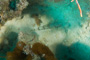slides/IMG_8362.jpg Coral Sea Fans Rocks, Good50ft, Sand Diver, Spearfishing Atlantic July 26 2010 IMG_8362