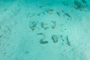 slides/_MG_5141.jpg Coral Sea Fans Rocks, Looe Key July 10 2010 _MG_5141