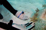 slides/_MG_6389.jpg Coral Banded Shrimp, Coral Sea Fans Rocks, Keys July 15-21 2011!, Sombrero Reef, Teresa _MG_6389