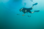 slides/_MG_7115.jpg Coral Sea Fans Rocks, Terry, Underwater _MG_7115