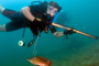 slides/_MG_7340_Edit.jpg Catch, Coral Sea Fans Rocks, Erik, Underwater _MG_7340_Edit