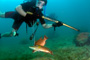 slides/_MG_7341_Edit.jpg Catch, Coral Sea Fans Rocks, Erik, Underwater _MG_7341_Edit