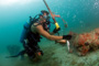 slides/_MG_7359_Edit.jpg Coral Sea Fans Rocks, Kyle, Underwater _MG_7359_Edit