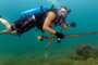 slides/_MG_7400_Edit.jpg Coral Sea Fans Rocks, Kyle, Underwater _MG_7400_Edit