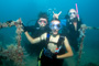 slides/_MG_7632_Edit.jpg Brandon, Coral Sea Fans Rocks, Karen, Paul, Underwater _MG_7632_Edit