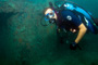 slides/_MG_7697_Edit.jpg Coral Sea Fans Rocks, Kyle, Underwater _MG_7697_Edit