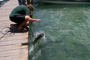 slides/_MG_7850_Edit.jpg Erik, Tarpon, Underwater _MG_7850_Edit