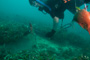 slides/_MG_1115.jpg Catch, Coral Sea Fans Rocks, Erik, Underwater _MG_1115