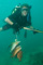 slides/_MG_1135.jpg Catch, Coral Sea Fans Rocks, Erik, Underwater _MG_1135