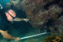 slides/_MG_1980_Edit.jpg Coral Sea Fans Rocks, Jan, Underwater _MG_1980_Edit