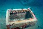 slides/_MG_2946_Edit.jpg Busch, Coral Sea Fans Rocks, Underwater _MG_2946_Edit