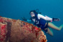 slides/_MG_2993_Edit.jpg Busch, Coral Sea Fans Rocks, Karissa, Underwater _MG_2993_Edit