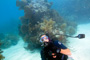 slides/_MG_3588_Edit.jpg Coral Sea Fans Rocks, Kyle, Underwater _MG_3588_Edit