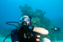 slides/_MG_3590_Edit.jpg Coral Sea Fans Rocks, Kyle, Underwater _MG_3590_Edit