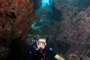 slides/_MG_3654_Edit.jpg Coral Sea Fans Rocks, Kyle, Underwater _MG_3654_Edit