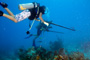 slides/_MG_4397_Edit.jpg Brandon, Coral Sea Fans Rocks, Kyle, Underwater _MG_4397_Edit