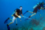 slides/_MG_4398_Edit.jpg Brandon, Coral Sea Fans Rocks, Kyle, Underwater _MG_4398_Edit