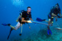 slides/_MG_4399_Edit.jpg Brandon, Coral Sea Fans Rocks, Kyle, Underwater _MG_4399_Edit