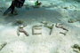 slides/_MG_4461_Edit.jpg Coral Sea Fans Rocks, Underwater _MG_4461_Edit