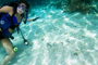 slides/_MG_4479_Edit.jpg Coral Sea Fans Rocks, Karissa, Underwater _MG_4479_Edit