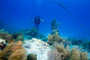 slides/_MG_4504_Edit.jpg Coral Sea Fans Rocks, Karissa, Underwater _MG_4504_Edit