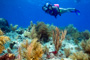 slides/_MG_4514_Edit.jpg Coral Sea Fans Rocks, Karissa, Underwater _MG_4514_Edit