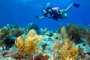 slides/_MG_4518_Edit.jpg Coral Sea Fans Rocks, Karissa, Underwater _MG_4518_Edit