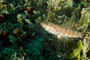 slides/_MG_4626_Edit.jpg Coral Sea Fans Rocks, Squirrelfish, Underwater _MG_4626_Edit