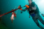 slides/_MG_4629_Edit.jpg Catch, Coral Sea Fans Rocks, David, Underwater _MG_4629_Edit