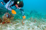 slides/_MG_4658_Edit.jpg Catch, Coral Sea Fans Rocks, David, Underwater _MG_4658_Edit