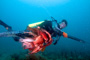 slides/_MG_4725_Edit.jpg Catch, Coral Sea Fans Rocks, David, Underwater _MG_4725_Edit