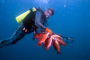 slides/_MG_4753_Edit.jpg Catch, Coral Sea Fans Rocks, David, Underwater _MG_4753_Edit