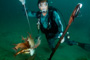 slides/_MG_6397_Edit.jpg Catch, Coral Sea Fans Rocks, David, Underwater _MG_6397_Edit