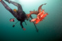 slides/_MG_6417_Edit.jpg Catch, Coral Sea Fans Rocks, David, Underwater _MG_6417_Edit