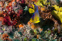 slides/_MG_6841_Edit.jpg Coral Sea Fans Rocks, Queen Angel Juvenile, Underwater _MG_6841_Edit
