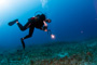 slides/_MG_1437_Edit.jpg Andy M, Coral Sea Fans Rocks, Underwater _MG_1437_Edit