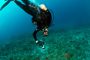 slides/_MG_1438_Edit.jpg Andy M, Coral Sea Fans Rocks, Underwater _MG_1438_Edit