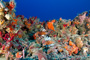 slides/_MG_1519_Edit.jpg Coral Sea Fans Rocks, Lionfish, Underwater _MG_1519_Edit