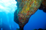 slides/_MG_4711_Edit.jpg Coral Sea Fans Rocks, Underwater _MG_4711_Edit