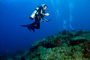 slides/_MG_4982_Edit.jpg Coral Sea Fans Rocks, Underwater _MG_4982_Edit