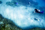 slides/_MG_5054_Edit.jpg Coral Sea Fans Rocks, Underwater _MG_5054_Edit