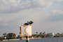 slides/_MG_5416.jpg Pelican _MG_5416