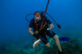 slides/_MG_1054-Edit.jpg Coral Sea Fans Rocks, Kyle, Underwater, hogfish _MG_1054-Edit