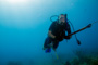 slides/_MG_1148-Edit.jpg Coral Sea Fans Rocks, Kyle, Underwater _MG_1148-Edit